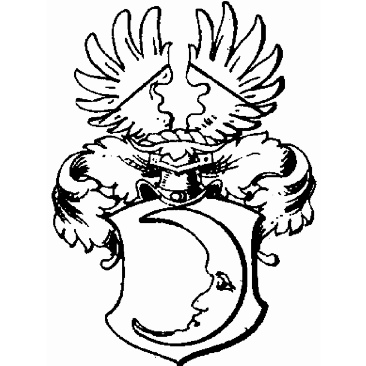 Escudo de la familia Ovelgönne