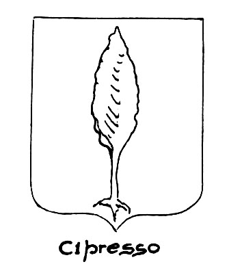 Immagine del termine araldico: Cipresso