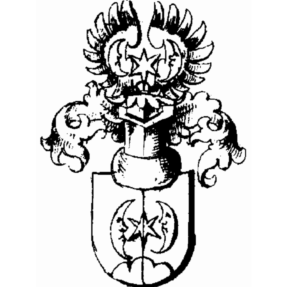 Coat of arms of family Moosmüller