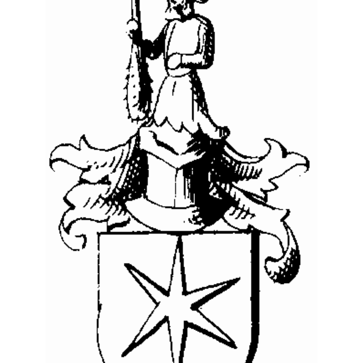 Coat of arms of family Scheinpflug