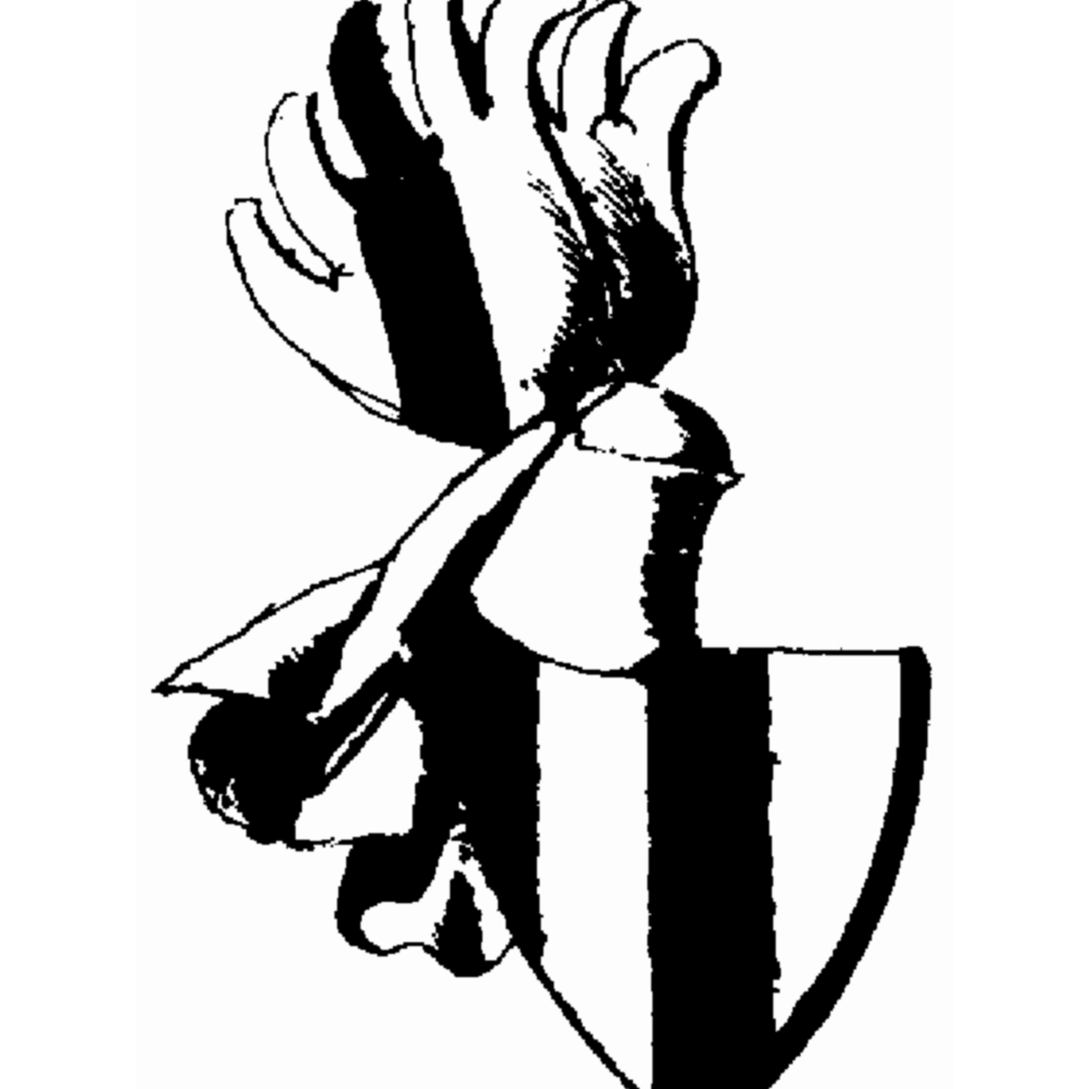Escudo de la familia Düssenbach