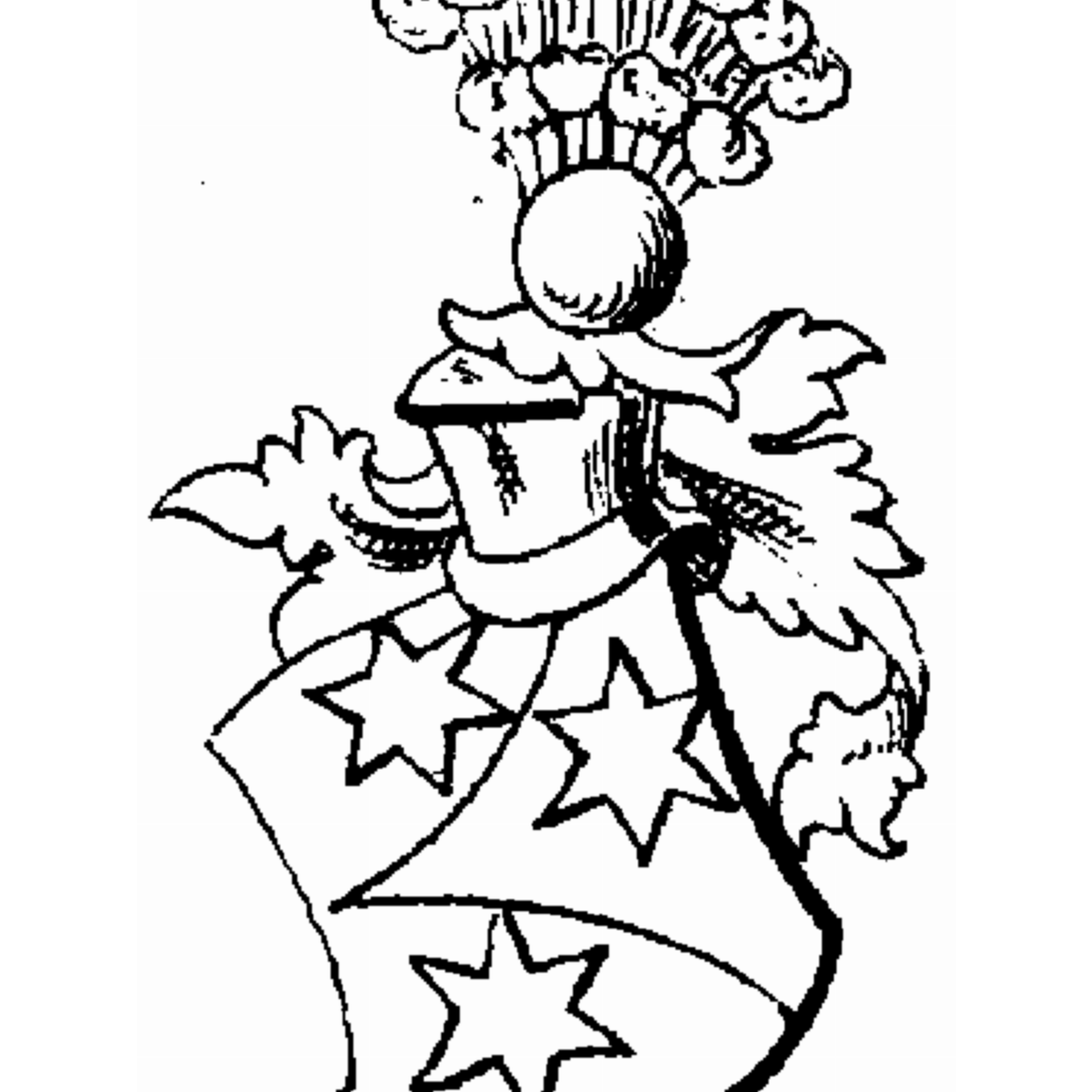 Coat of arms of family Ziecher