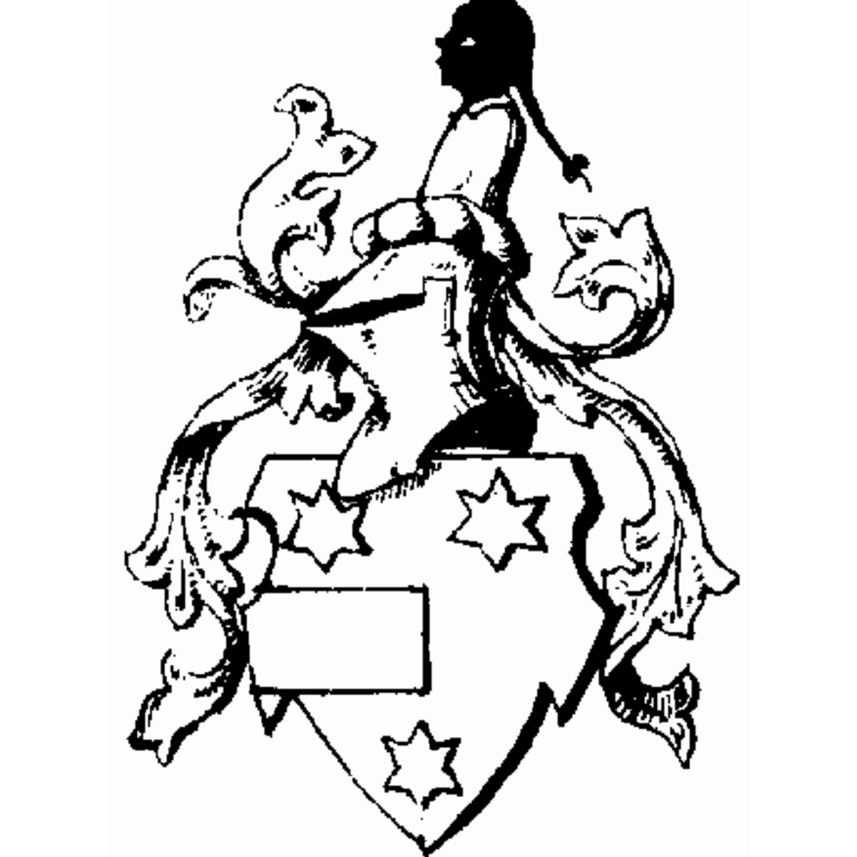 Coat of arms of family Klooß