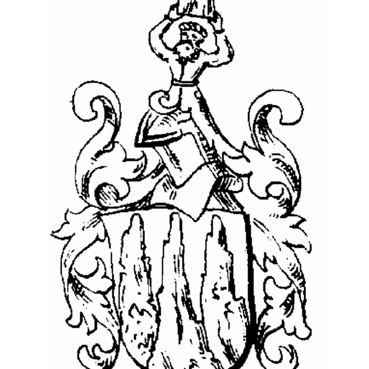 Coat of arms of family Höcker