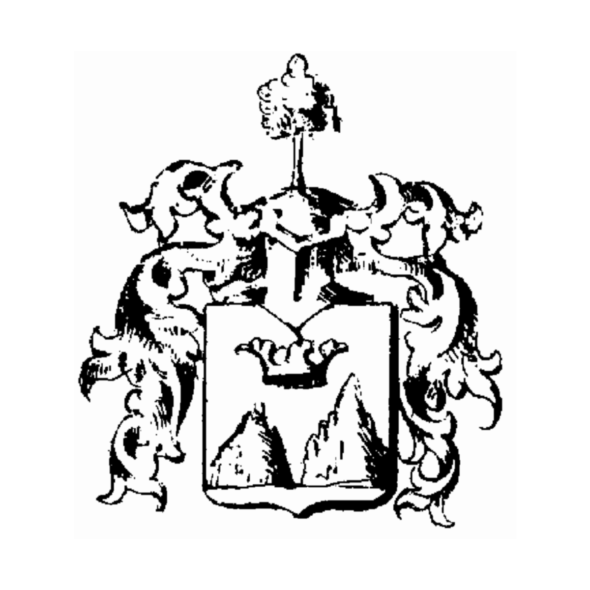 Coat of arms of family Von Bergen