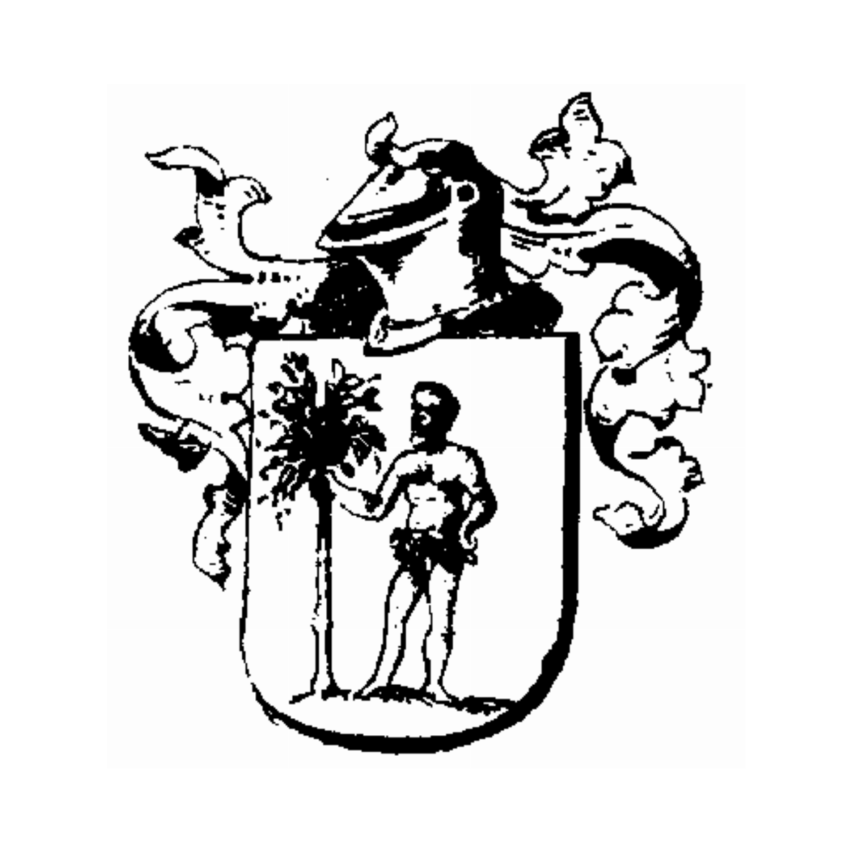 Escudo de la familia Pagenstecher