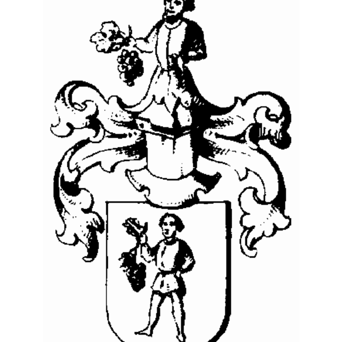 Wappen der Familie Zipfelmüller
