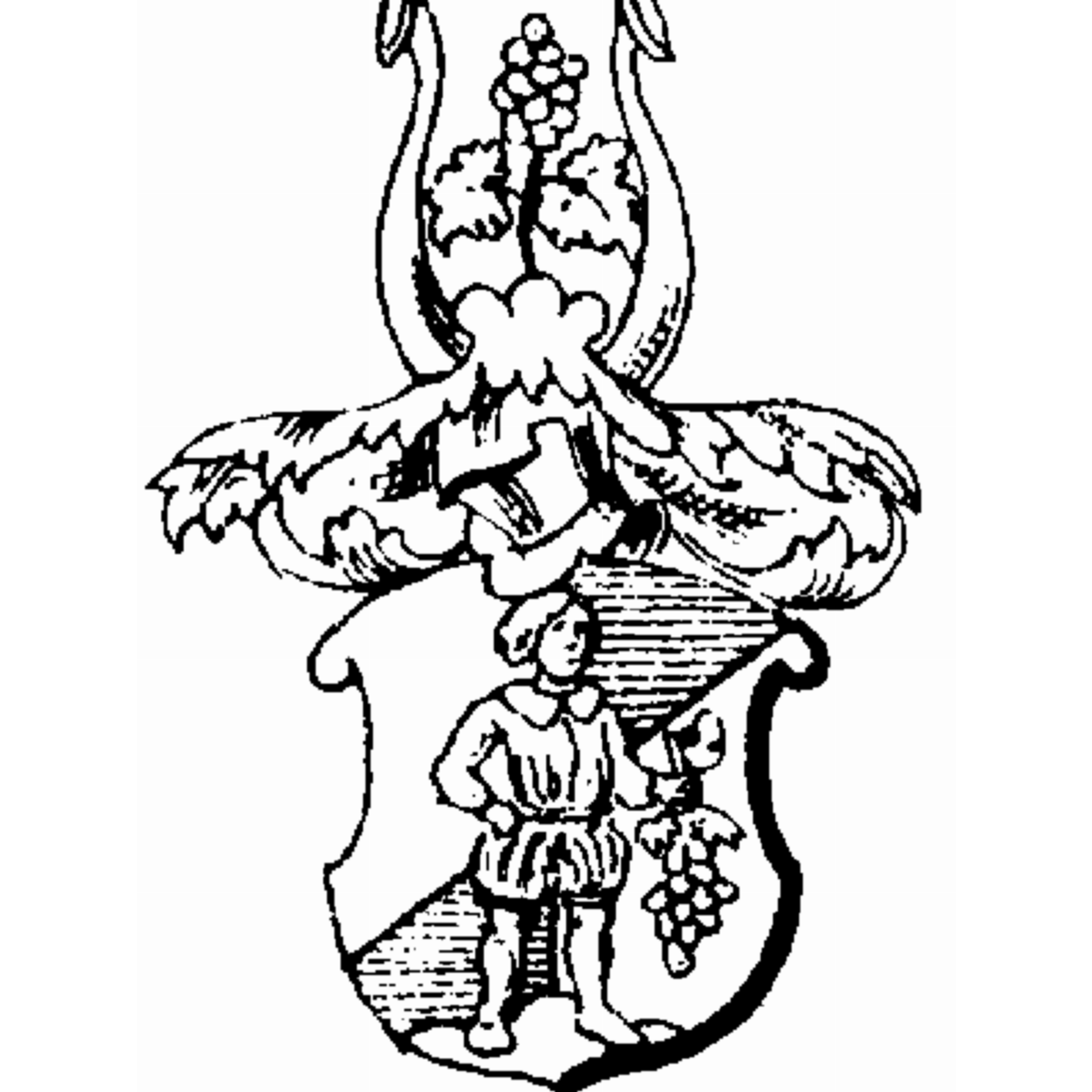 Coat of arms of family Gschwill