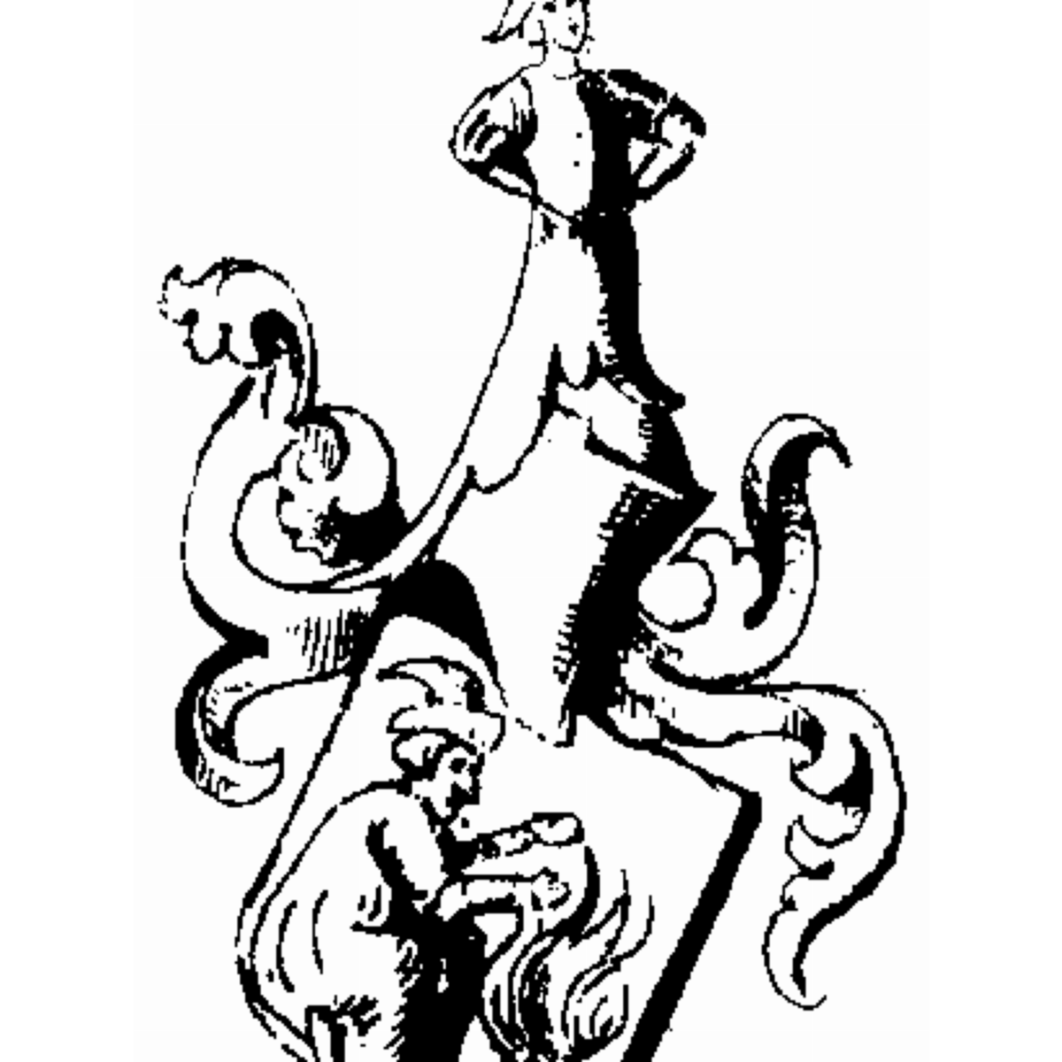 Coat of arms of family Wittenburg
