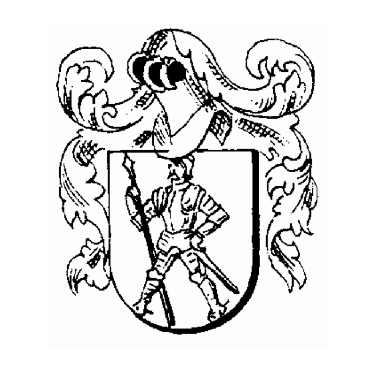 Coat of arms of family Müller-Brand