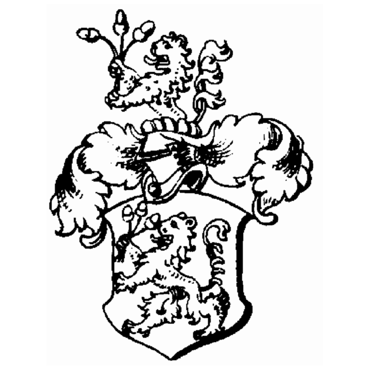 Coat of arms of family Lengnich