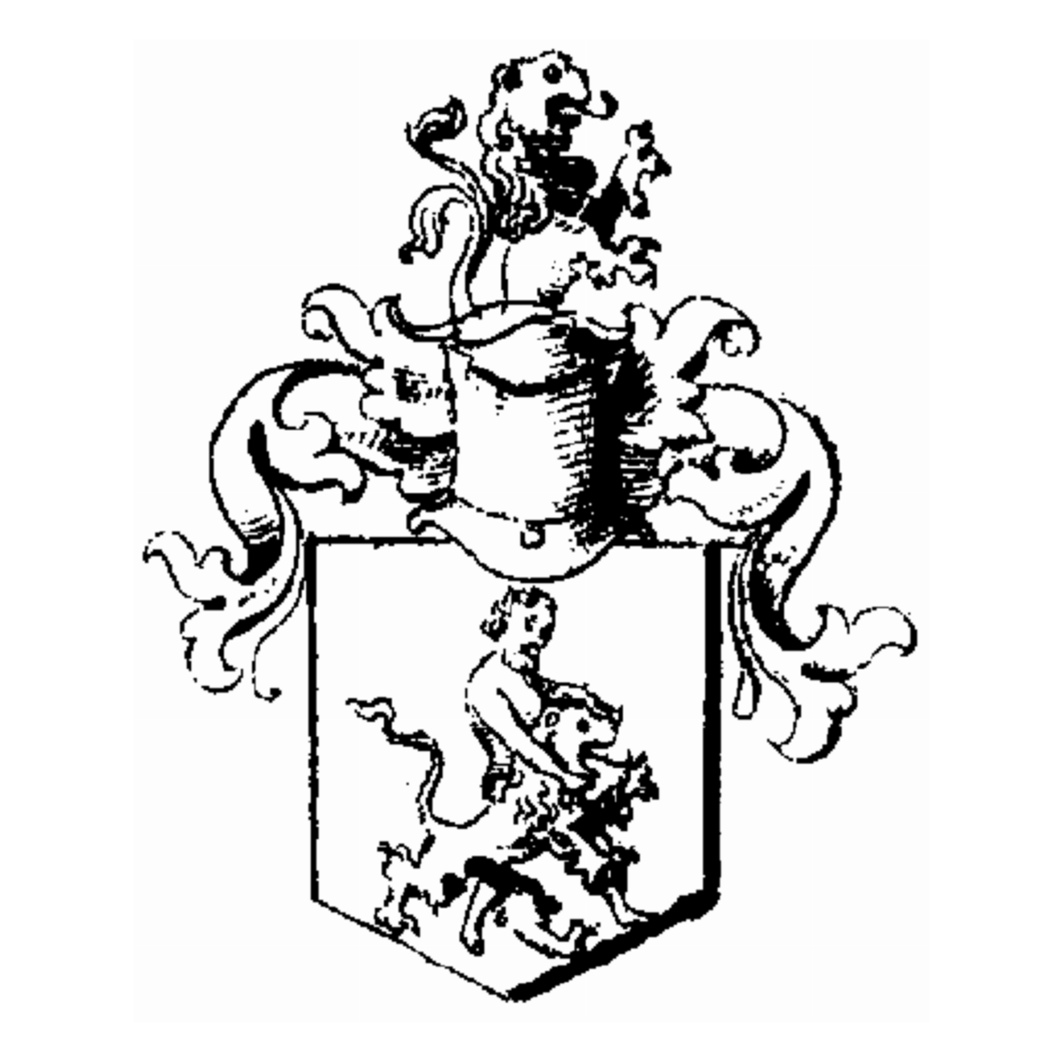 Coat of arms of family Seyringer