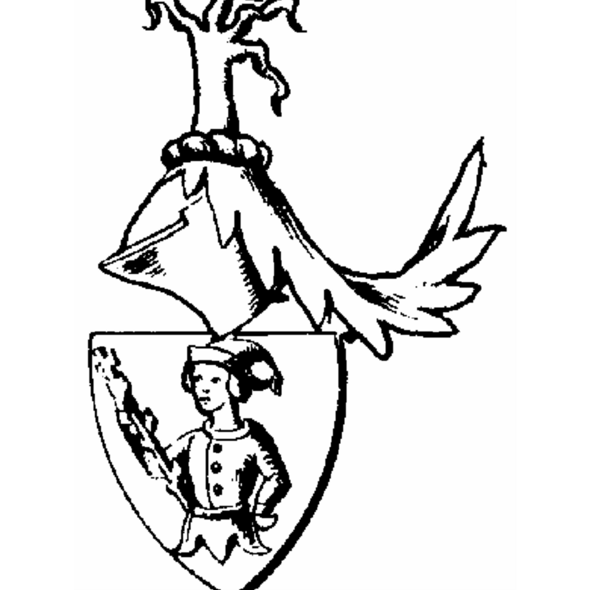 Coat of arms of family Von Dienheim