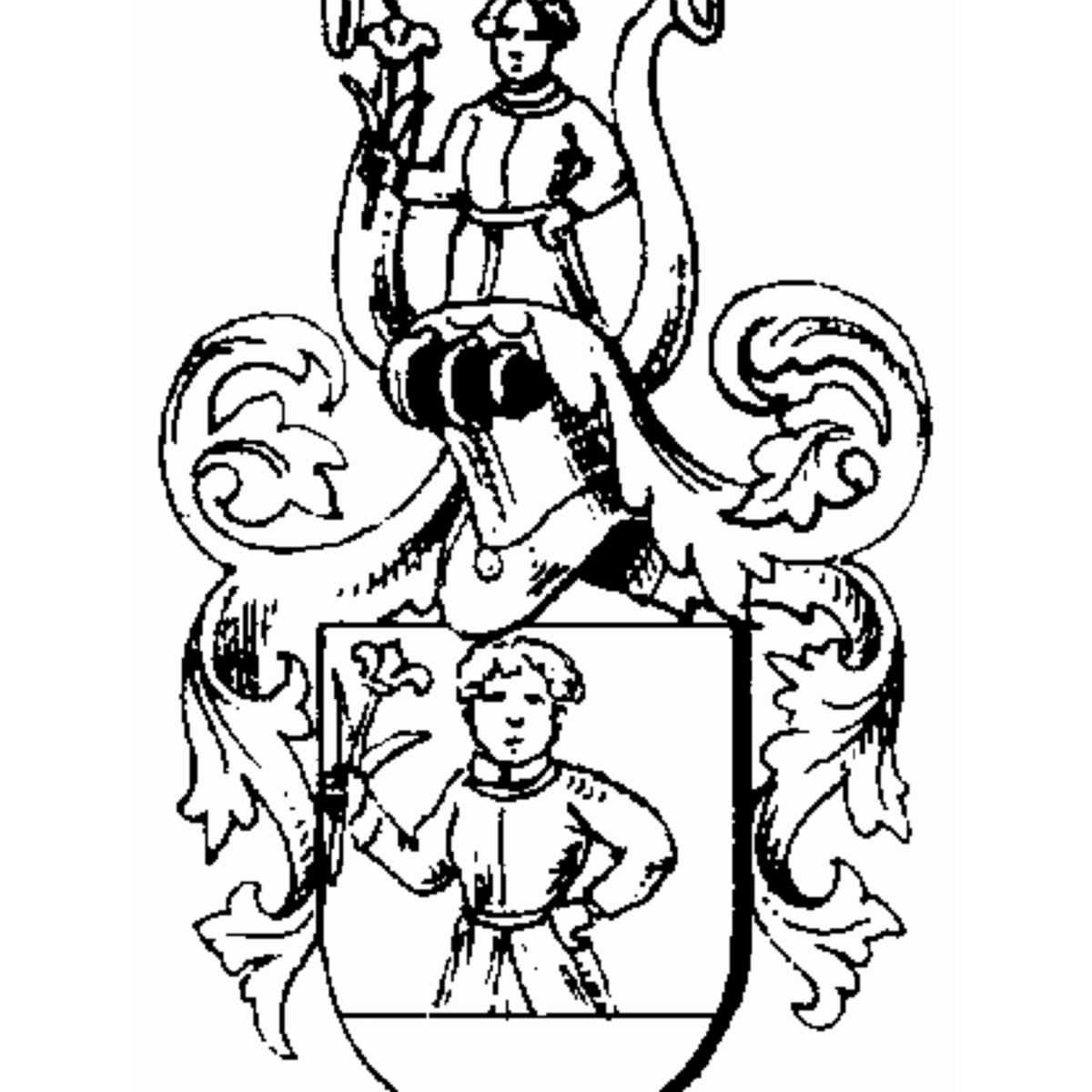 Coat of arms of family Wolffa