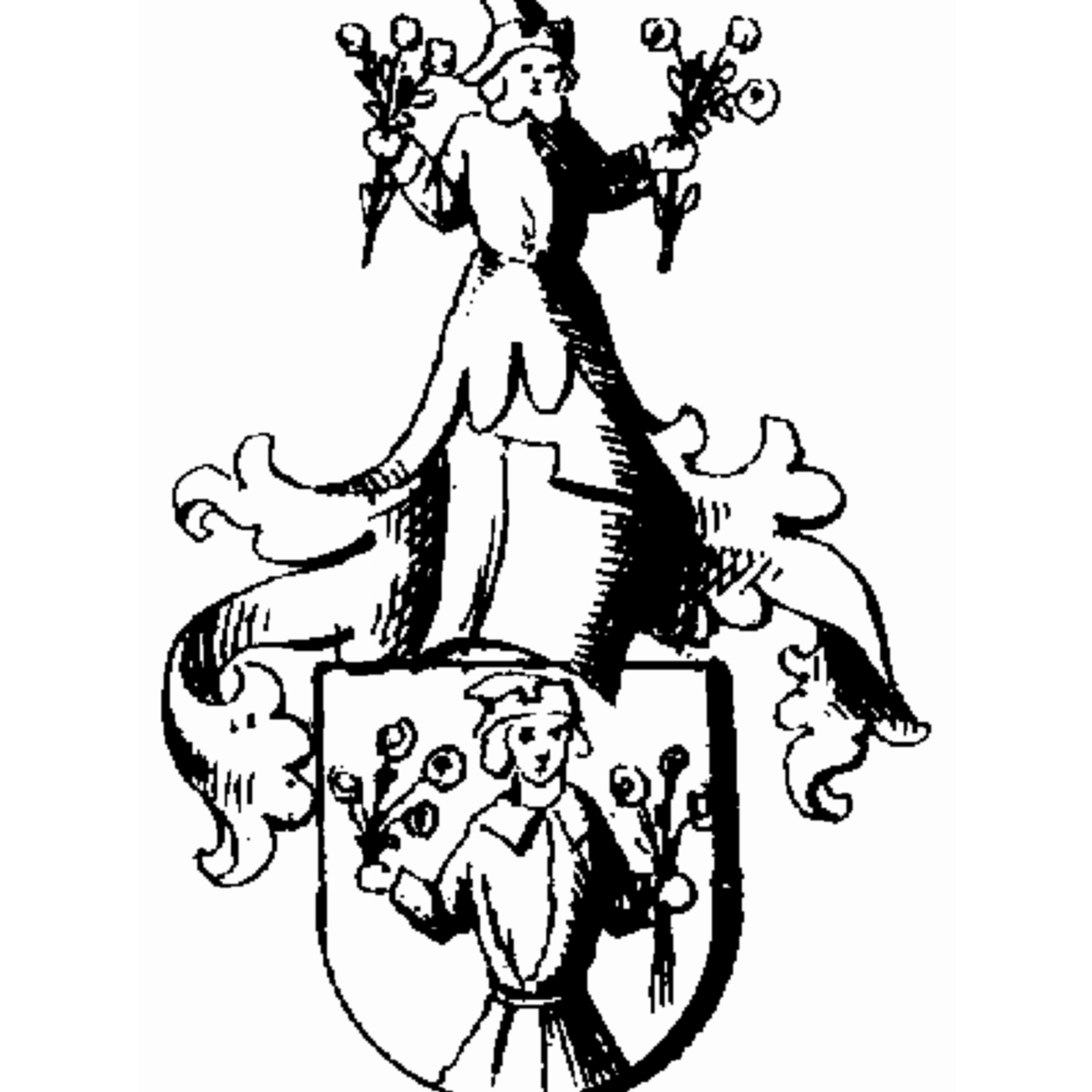 Coat of arms of family Strohhans