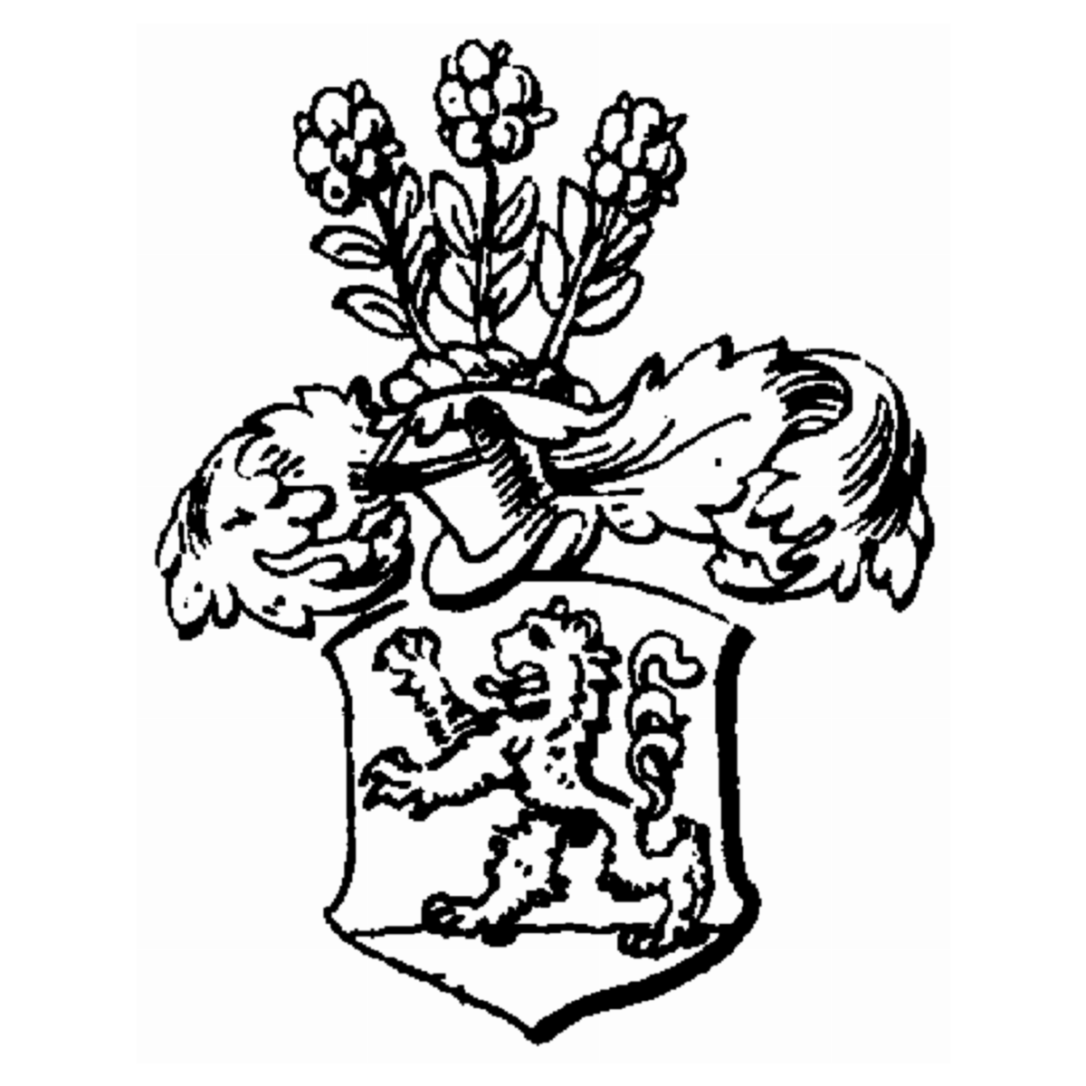 Coat of arms of family Hasenfuß