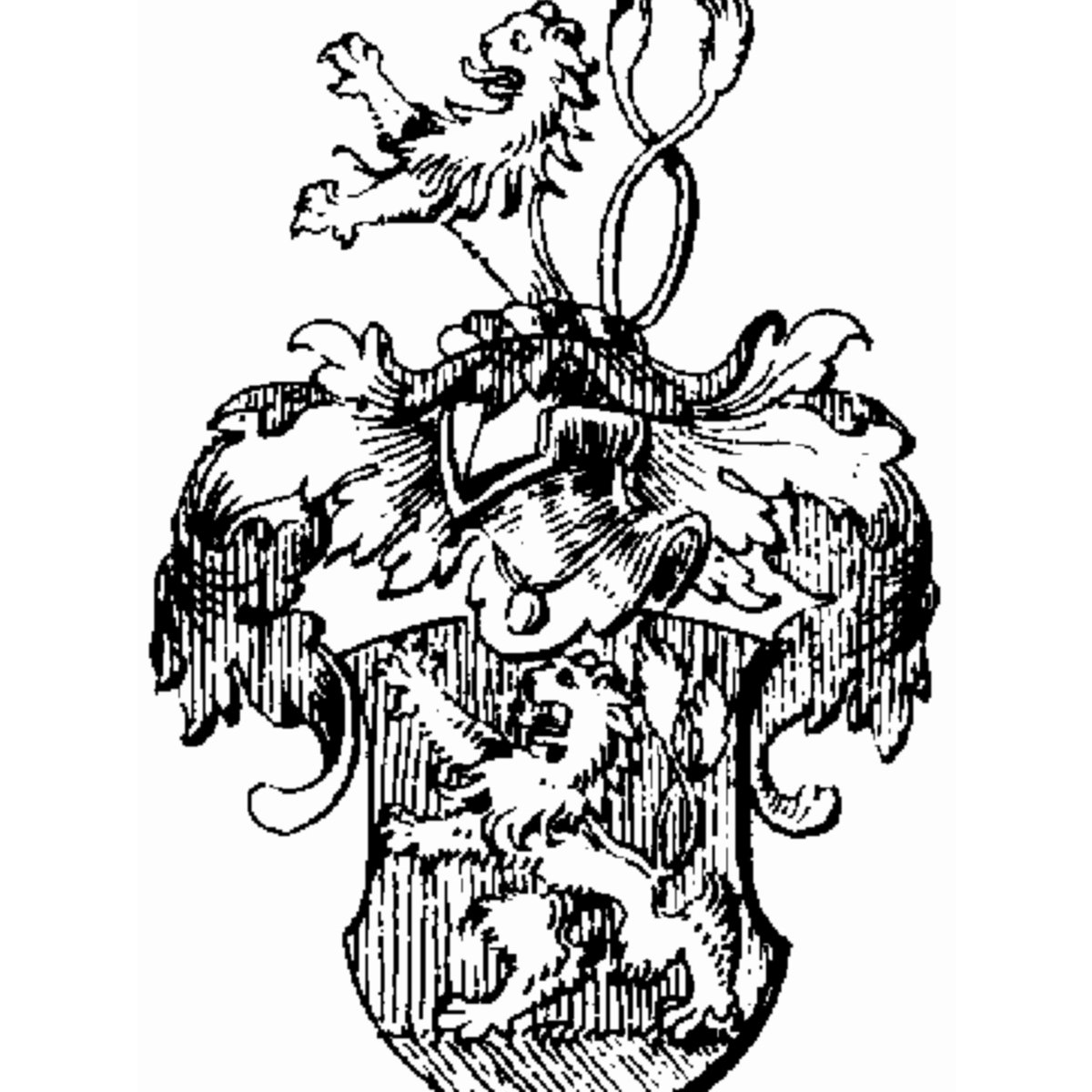 Coat of arms of family Hasenhauer
