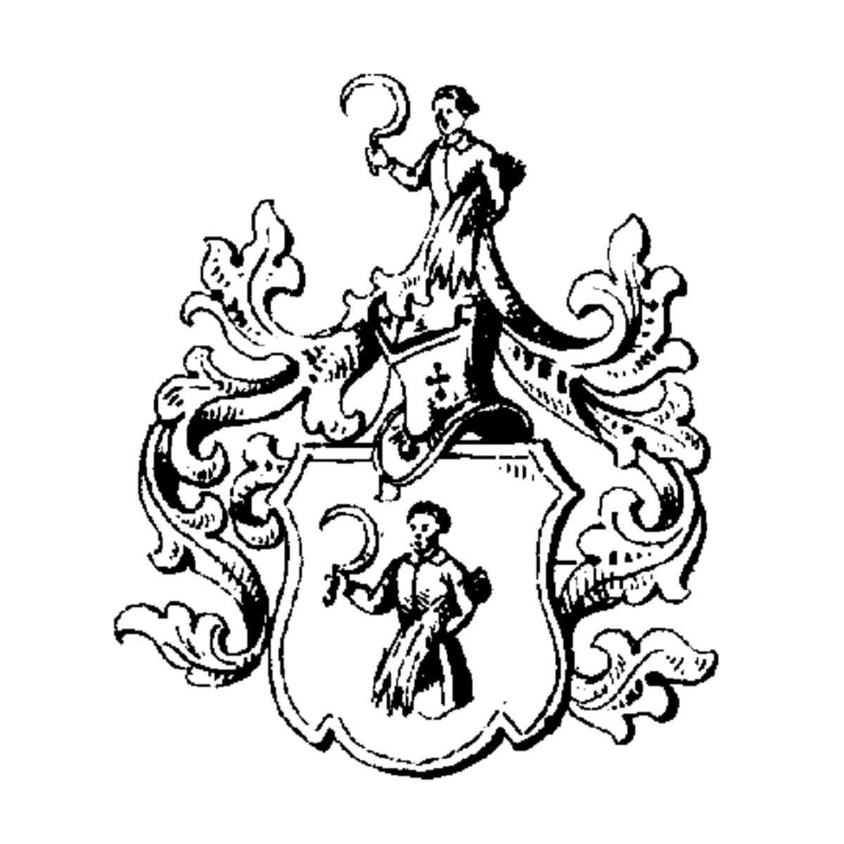 Coat of arms of family Muskönig