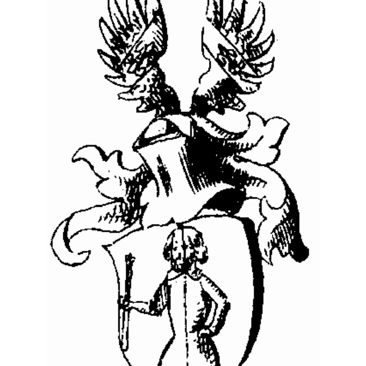 Coat of arms of family Iselnsohm