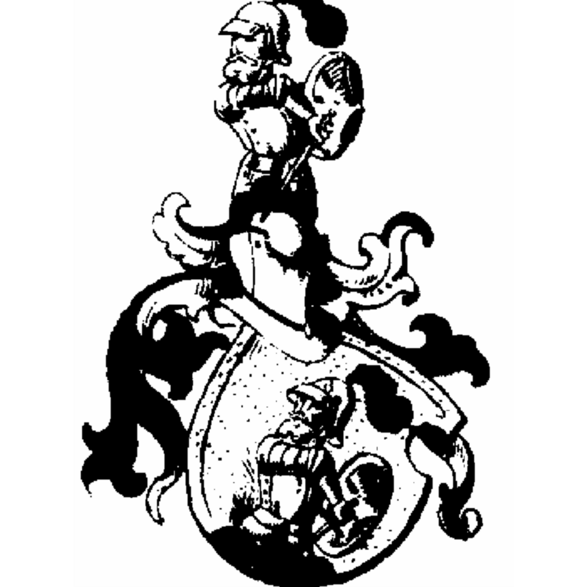 Coat of arms of family Pflüger