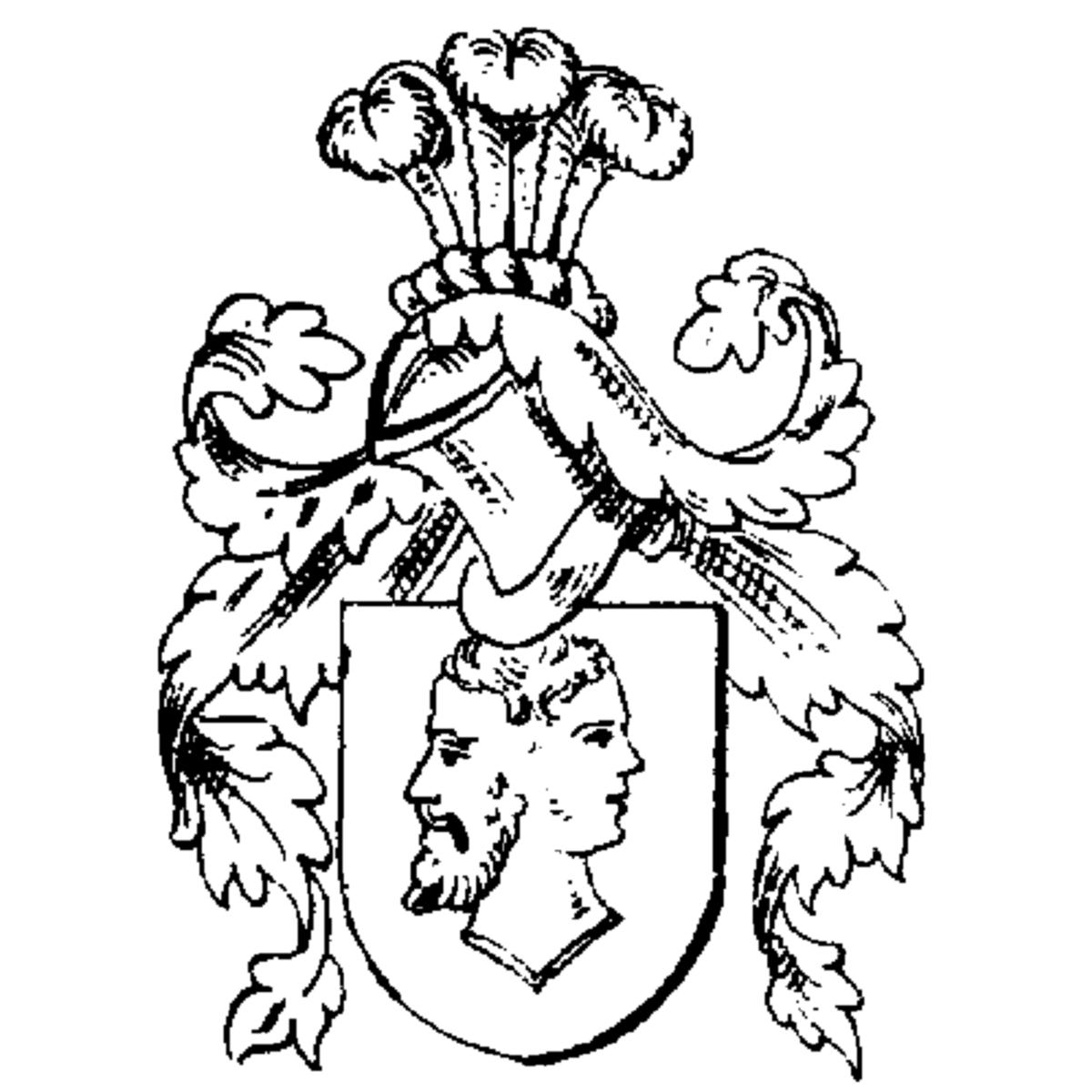 Coat of arms of family Naße