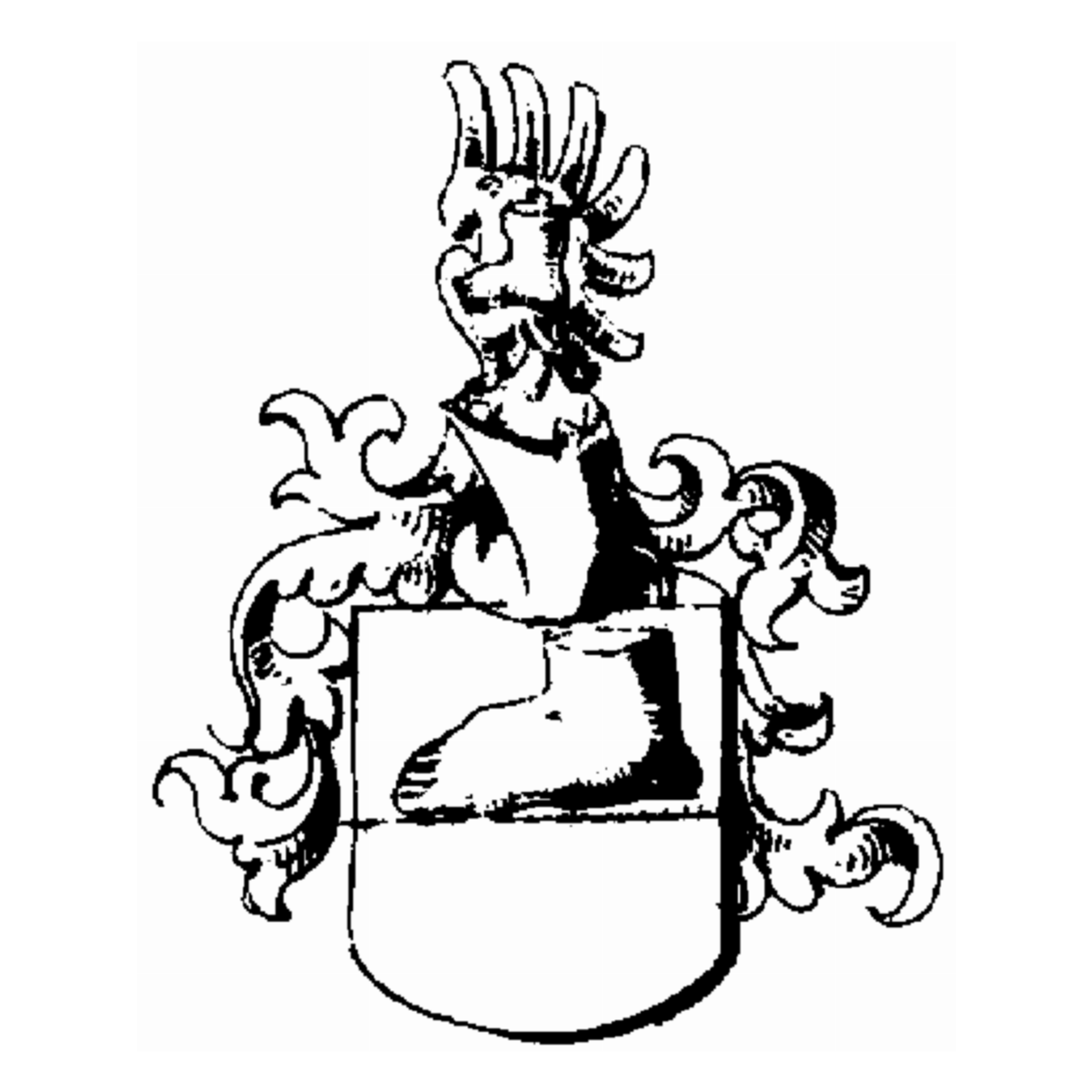 Coat of arms of family Von Der Vechte
