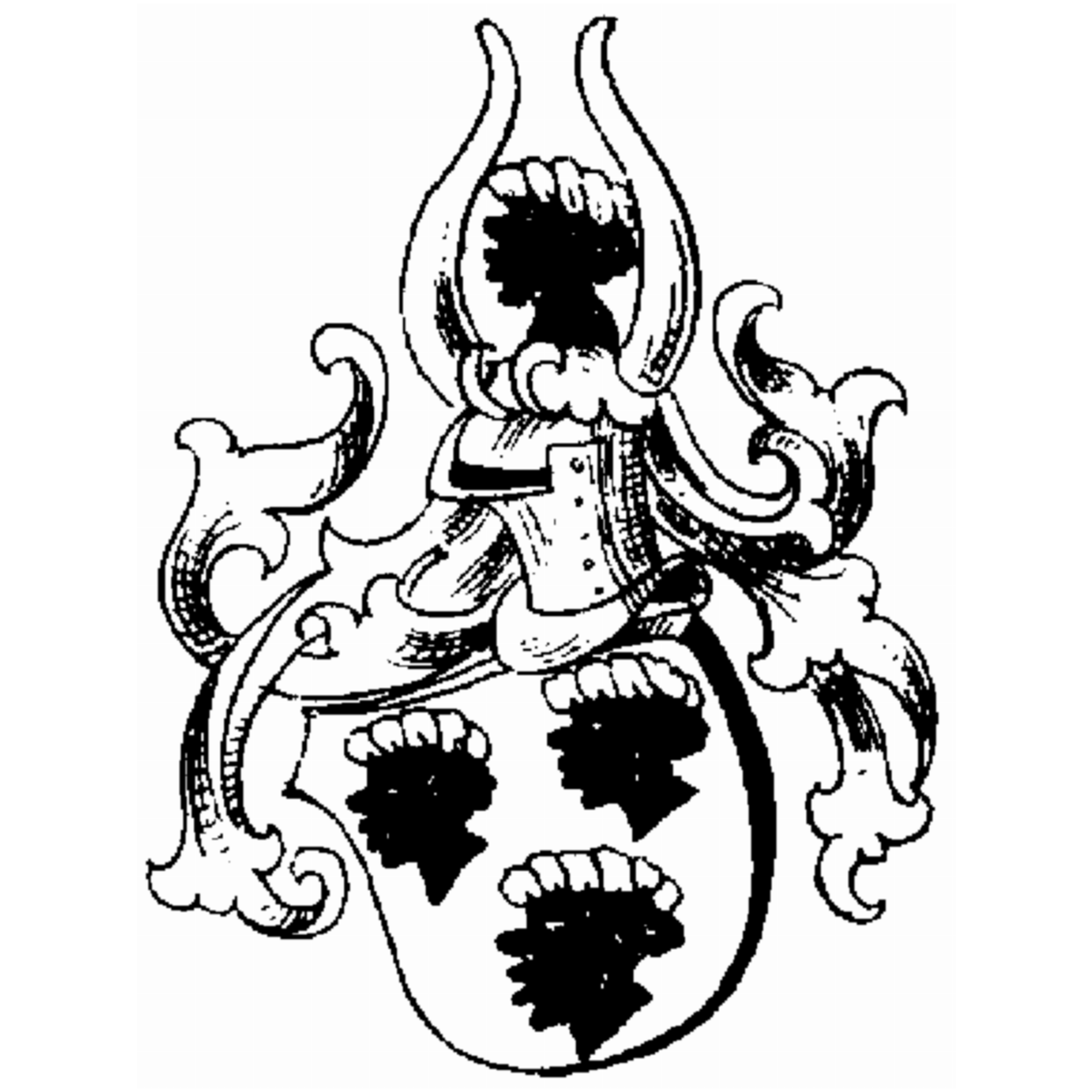 Escudo de la familia Von Herba