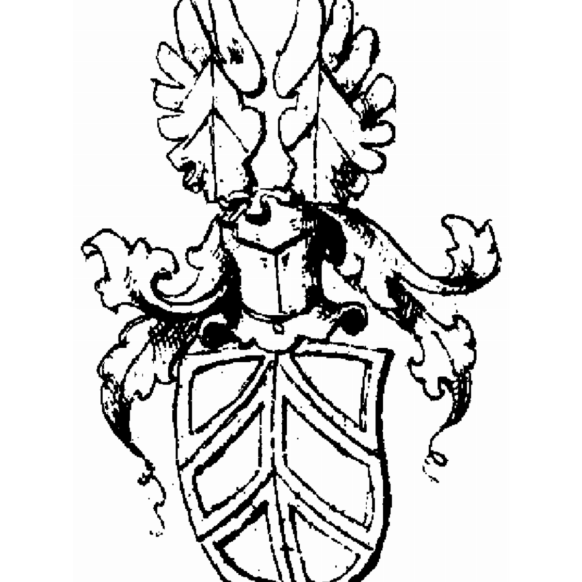 Escudo de la familia Von Herbertshofen