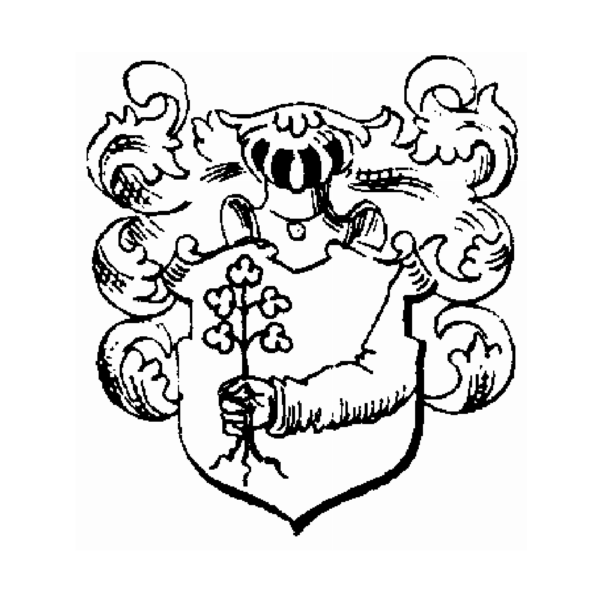 Escudo de la familia Auf Dem Berge