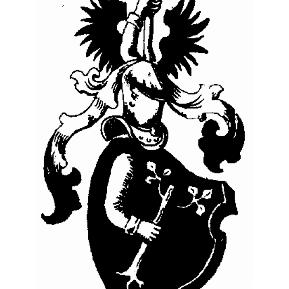 Escudo de la familia De Zachow