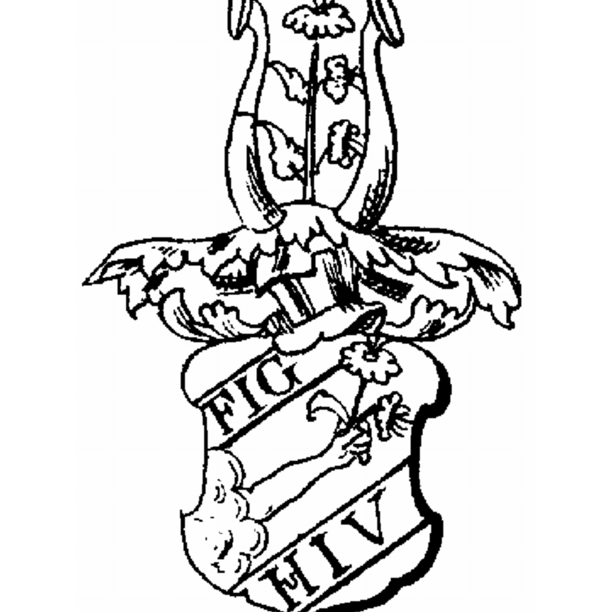 Coat of arms of family Bercht