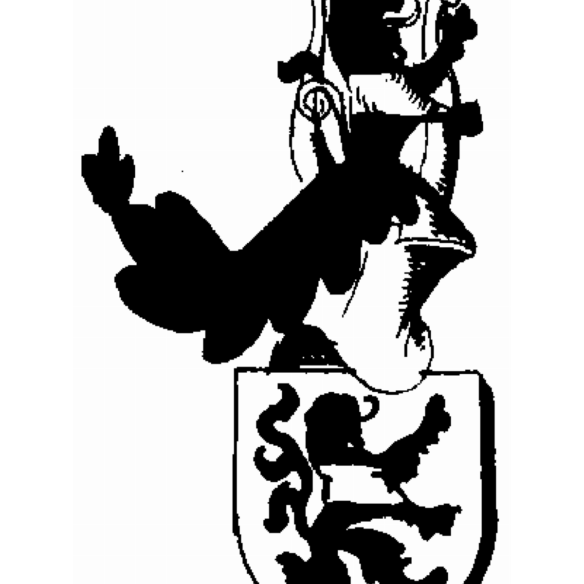 Coat of arms of family Mancke