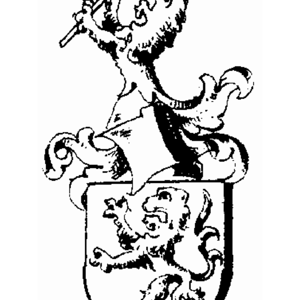 Coat of arms of family Elisabet