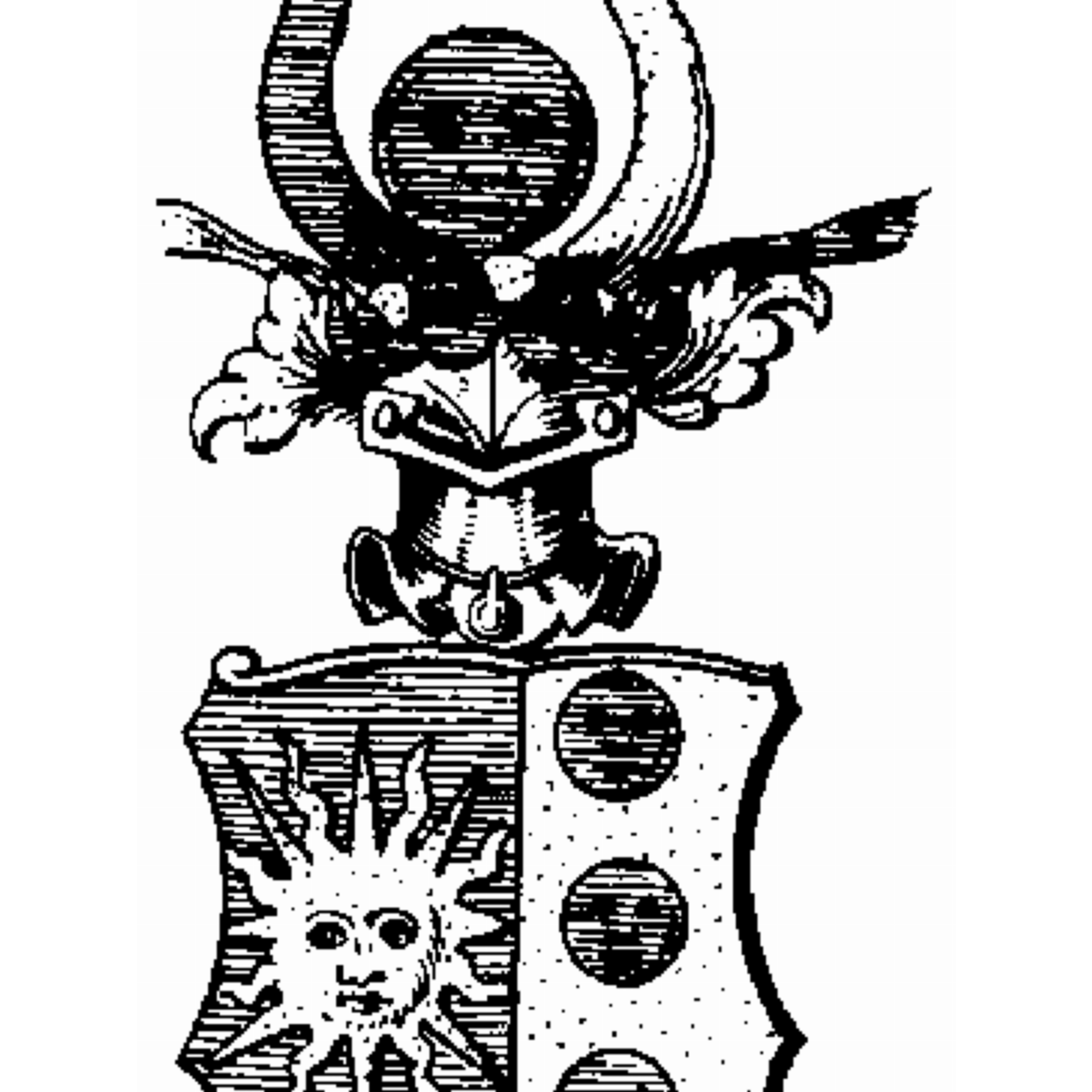 Coat of arms of family Schaefer