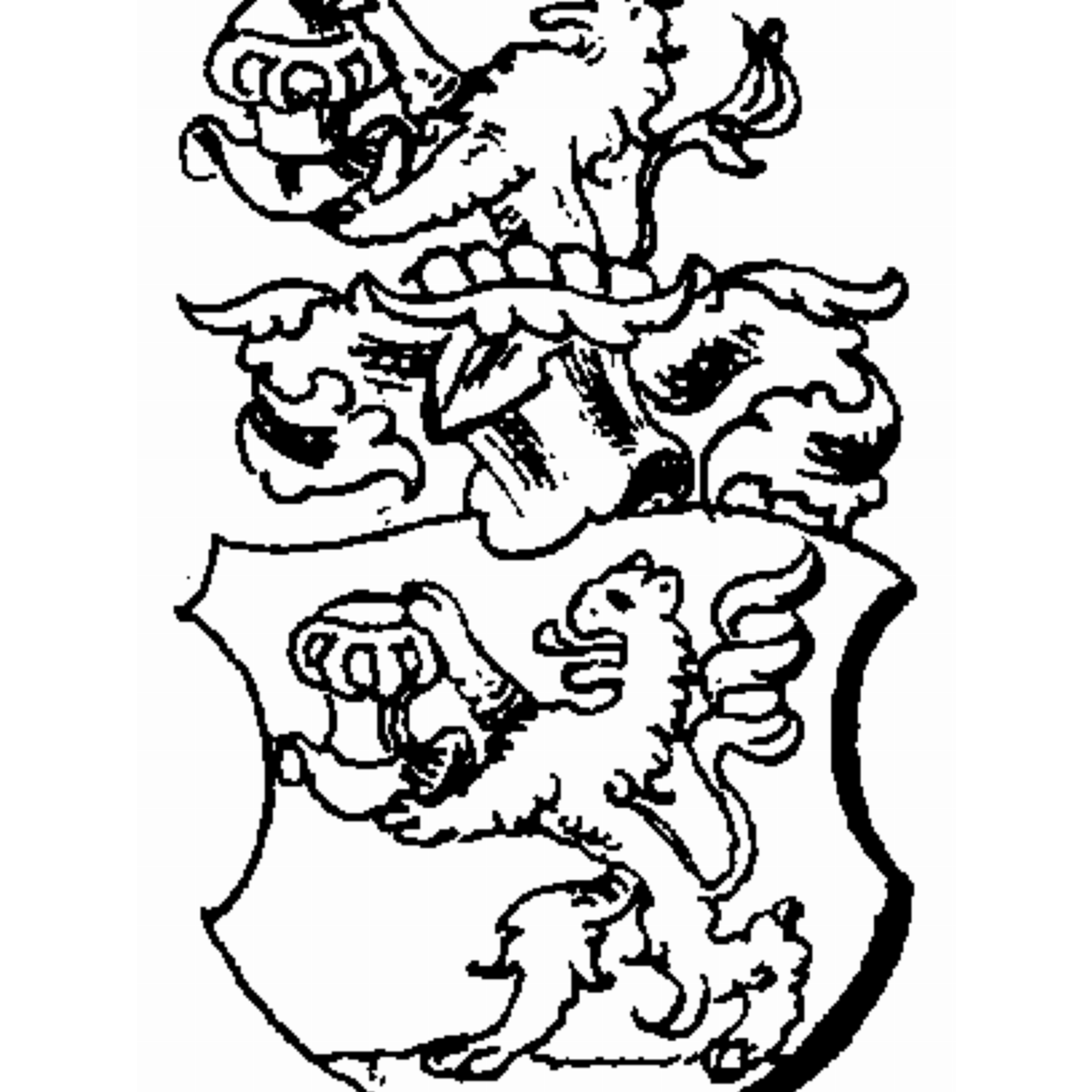 Coat of arms of family Zachowski