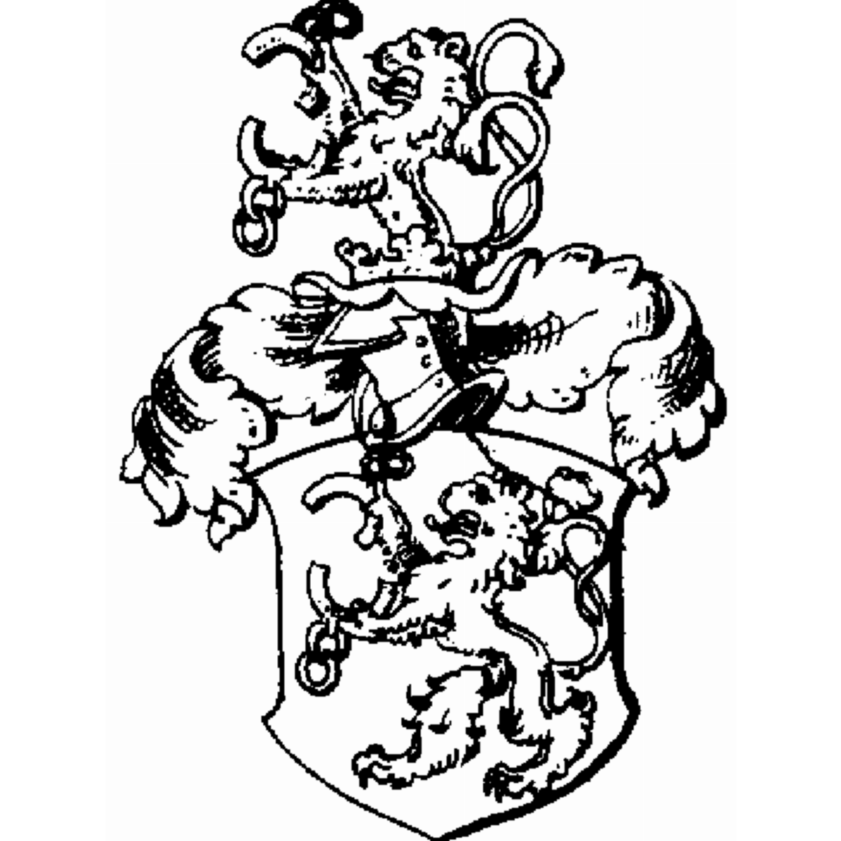 Coat of arms of family Reinsheimer