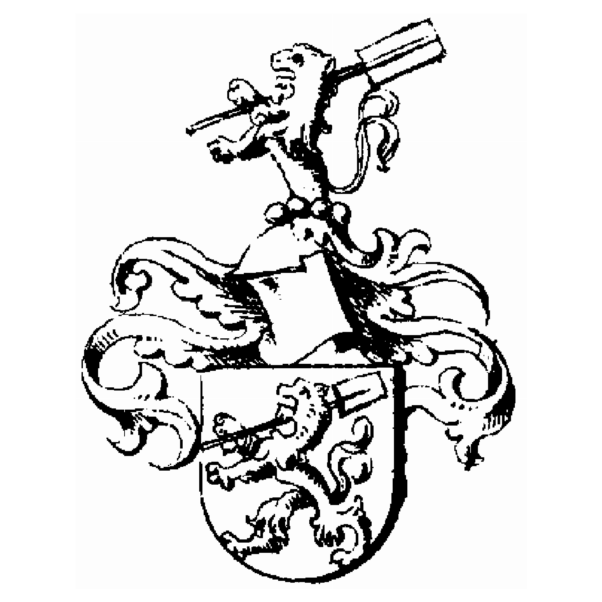 Coat of arms of family Junghans