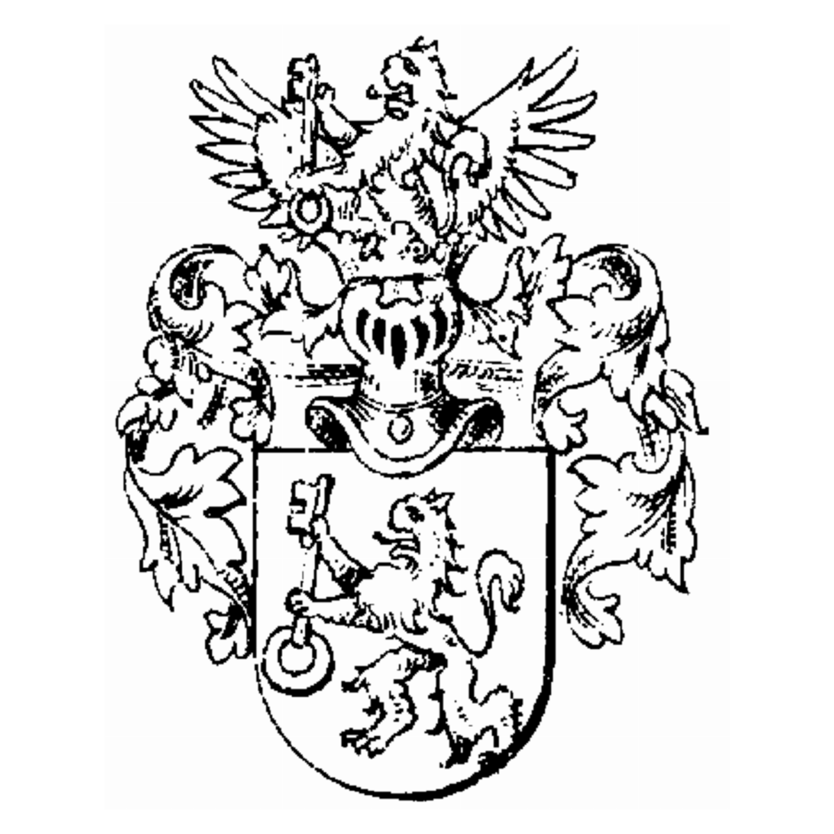 Escudo de la familia Trüllikofer