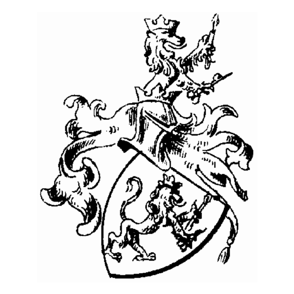 Coat of arms of family Schmidhauser