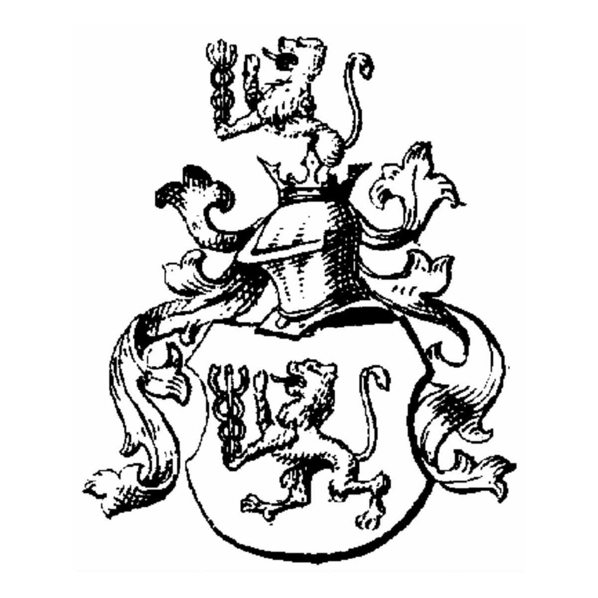 Wappen der Familie Gfrörer