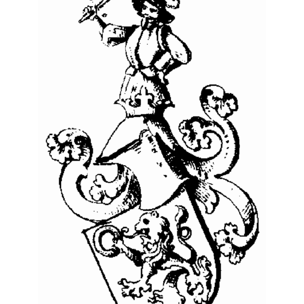 Coat of arms of family Neunegger