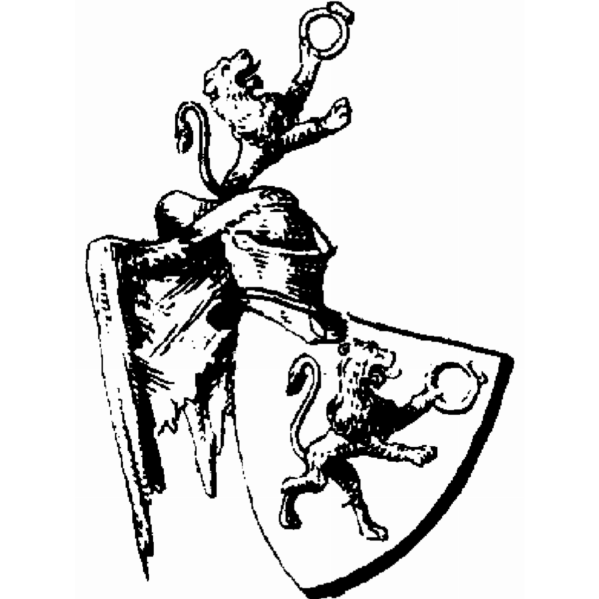 Coat of arms of family Schwenkel