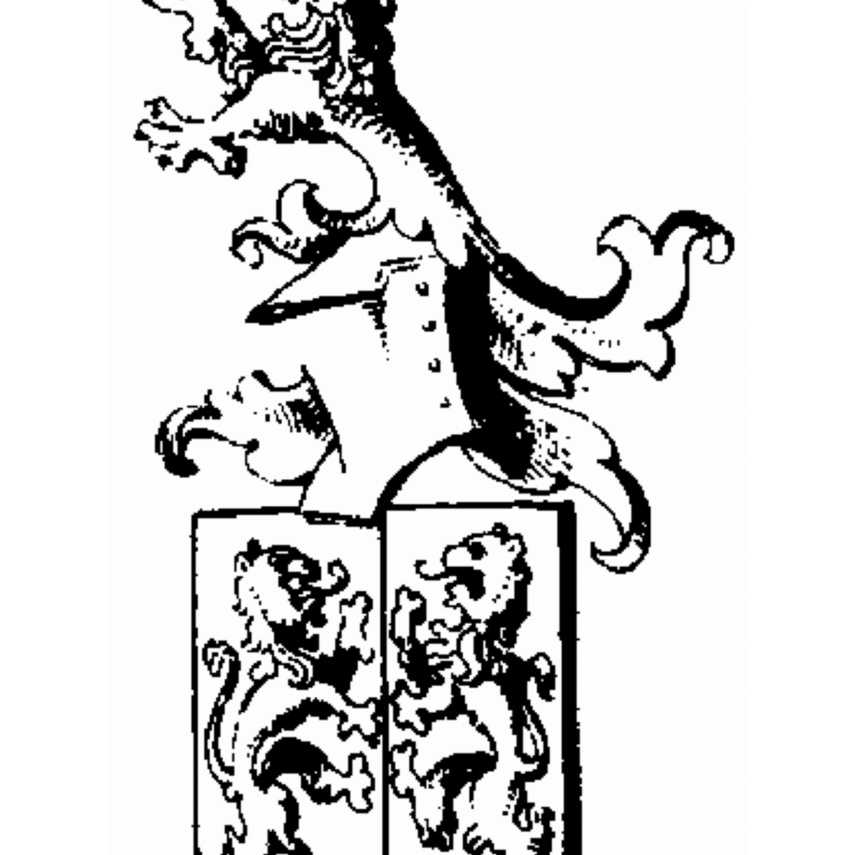 Coat of arms of family Rotschuh