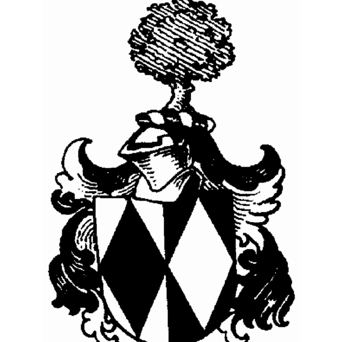 Coat of arms of family Hegweyn