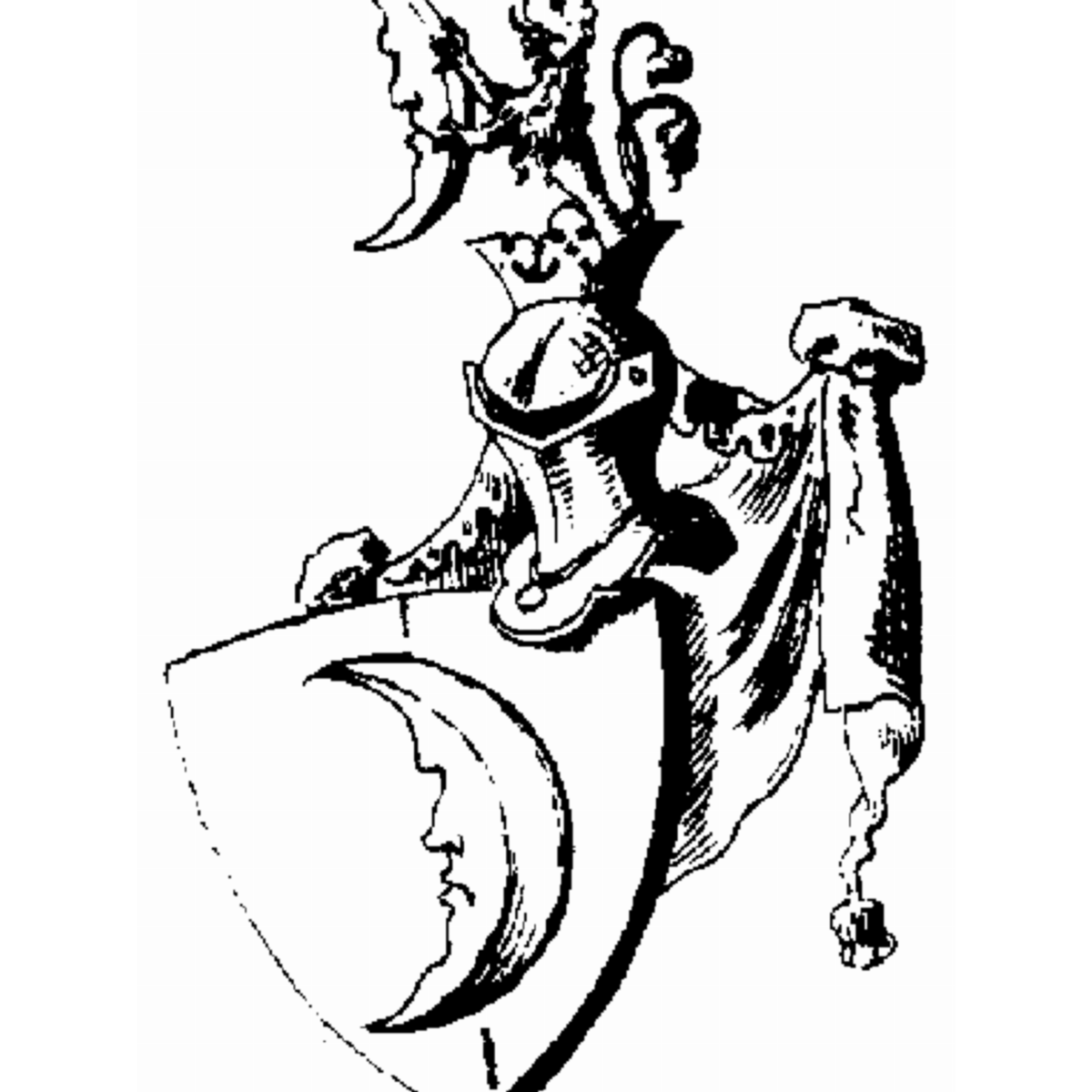 Coat of arms of family Püster