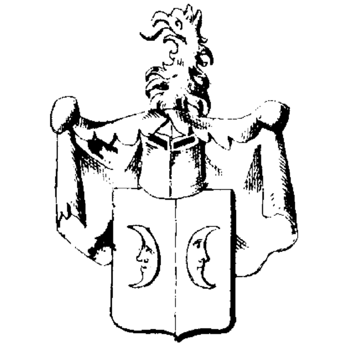 Coat of arms of family Hirsch Von Hirschau
