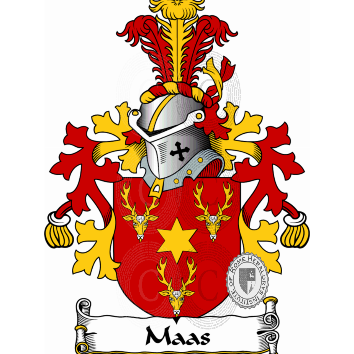 Coat of arms of familyMaas