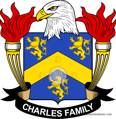 king charles aged 73