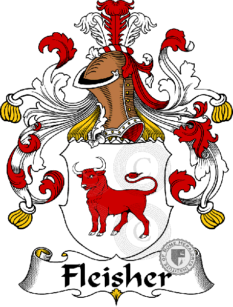 Coat of arms of family Fleisher