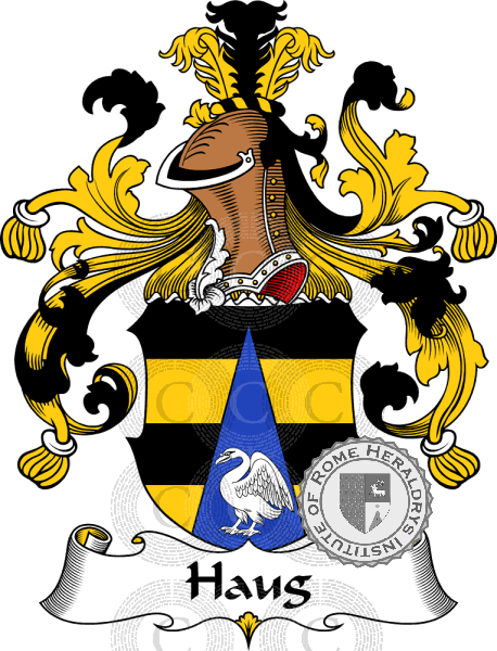 Coat of arms of family Haug